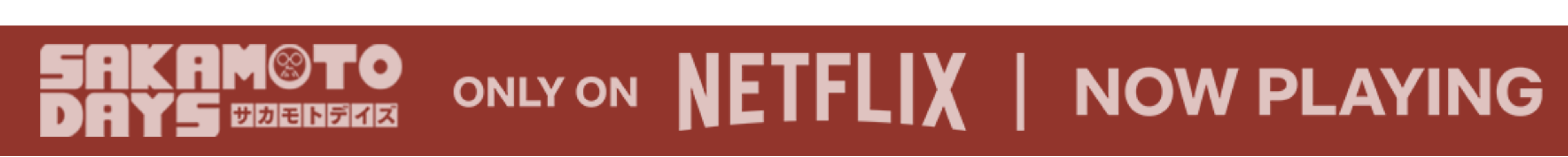 Now Playing on Netflix